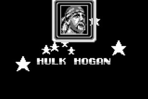 WWF Superstars Screenshot