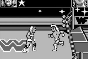 WWF Superstars Screenshot