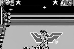 WWF Superstars Screenshot