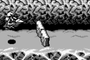 Battletoads in Ragnarok's World Screenshot