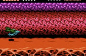 Battletoads - Screenshot 4 of 7