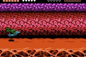 Battletoads Screenshot