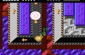 Battletoads - Screenshot 2 of 7