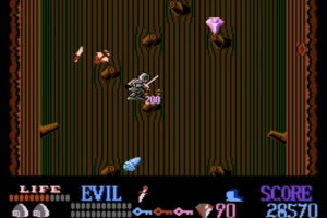 Wizards & Warriors Screenshot