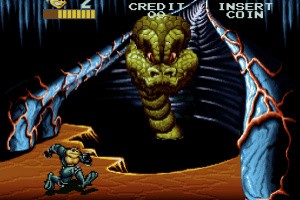 Super Battletoads Screenshot