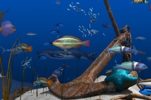 Big Kahuna Party Screenshot