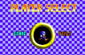 Sonic Chaos - Screenshot 8 of 9