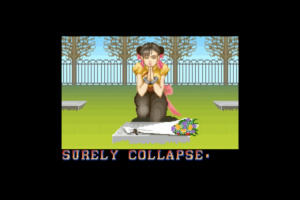 Street Fighter II: Champion Edition Screenshot