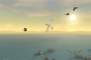 Storm Boy Screenshot