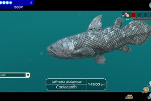 Endless Ocean: Luminous Screenshot