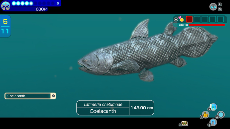 Endless Ocean: Luminous Review - Screenshot 1 of 5