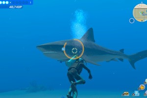 Endless Ocean: Luminous Screenshot