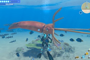 Endless Ocean: Luminous Screenshot