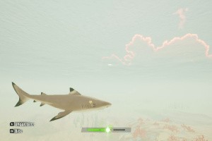 Tchia Screenshot