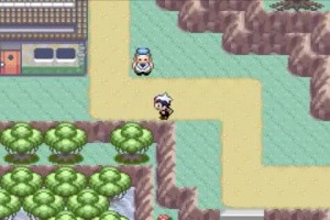 Pokémon Ruby & Sapphire Screenshot