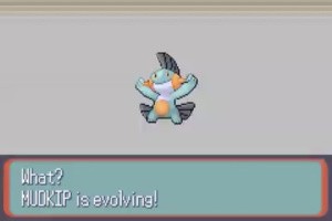 Pokémon Ruby & Sapphire Screenshot