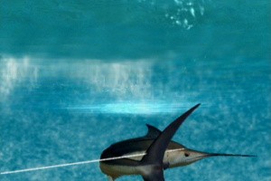 Reel Fishing: Angler's Dream Screenshot