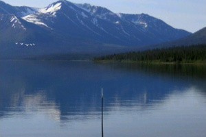 Reel Fishing: Angler's Dream Screenshot