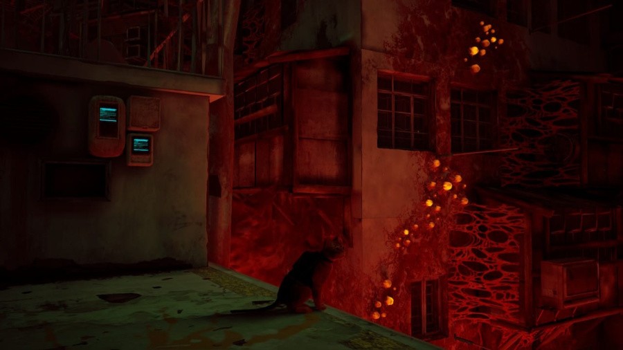 Stray Review - Screenshot 2 of 4