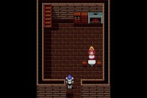 Sword of Vermilion Screenshot