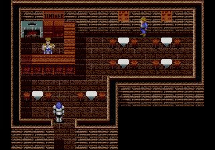 Sword Of Vermilion (mega Drive) Screenshots