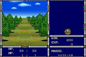 Sword of Vermilion Screenshot