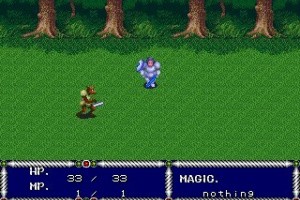 Sword of Vermilion Screenshot