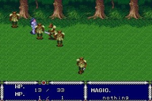 Sword of Vermilion Screenshot