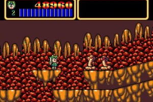 Wonder Boy III: Monster Lair Screenshot