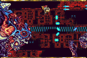 ZPF Screenshot