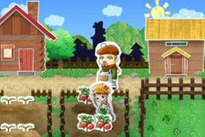 Harvest Moon: My Little Shop Screenshot