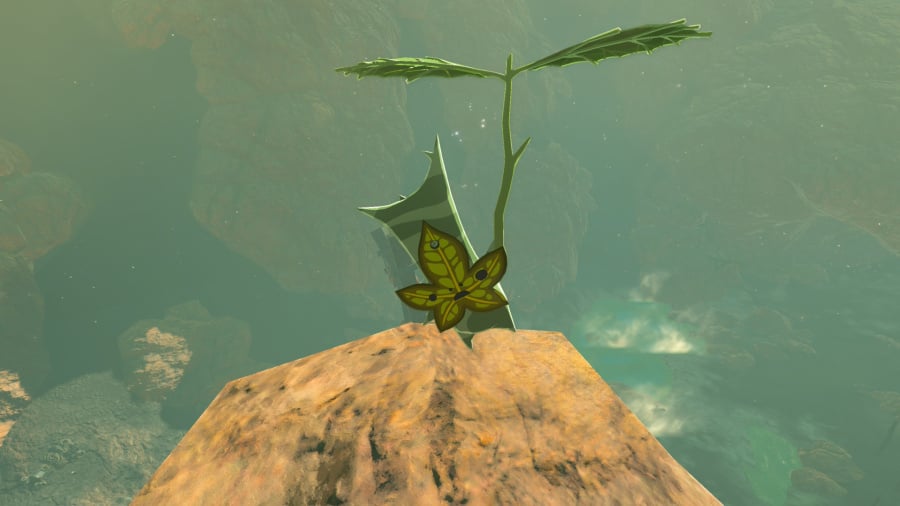 The Legend of Zelda: Breath of the Wild - Nintendo Switch 2 Edition Review - Screenshot 6 of 6