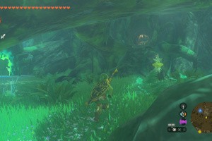 The Legend of Zelda: Tears of the Kingdom - Nintendo Switch 2 Edition Screenshot