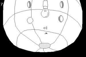 Time Flies Screenshot