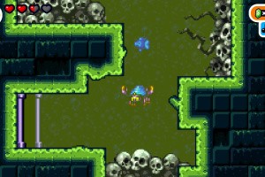 Shantae Advance: Risky Revolution Screenshot