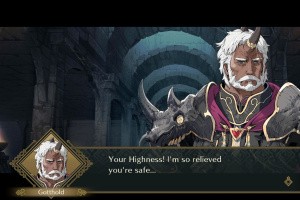 Fire Emblem Shadows Screenshot