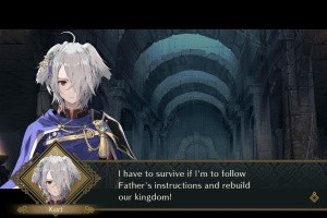 Fire Emblem Shadows Screenshot