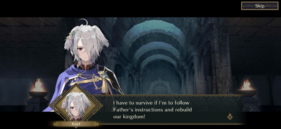 Fire Emblem Shadows Review - Screenshot 2 of 7