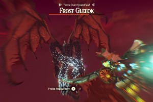 Hyrule Warriors: Age of Imprisonment Screenshot