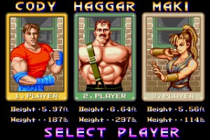 Final Fight MD Screenshot