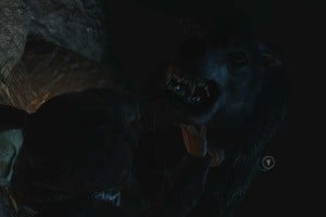 Tomb Raider: Definitive Edition Screenshot