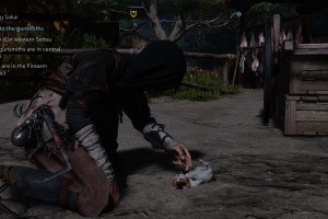 Assassin's Creed Shadows Screenshot