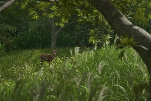 Assassin's Creed Shadows Screenshot