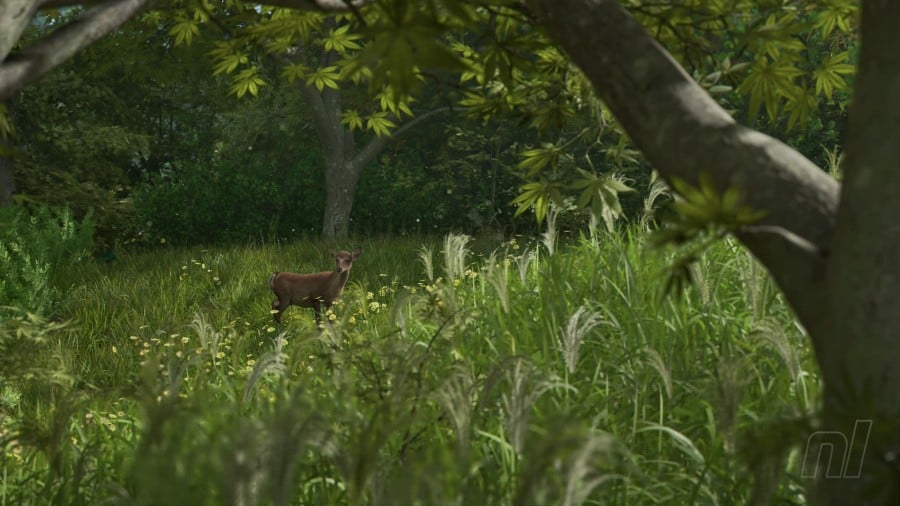 Assassin's Creed Shadows Review - Screenshot 6 of 7