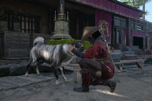 Assassin's Creed Shadows Screenshot