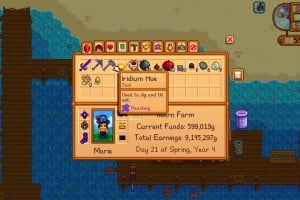 Stardew Valley - Nintendo Switch 2 Edition Screenshot
