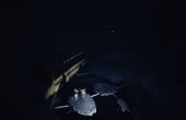 Reanimal - Screenshot 8 of 10