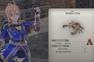 Ys X: Proud Nordics Screenshot