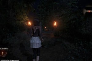 Fatal Frame II: Crimson Butterfly Remake Screenshot