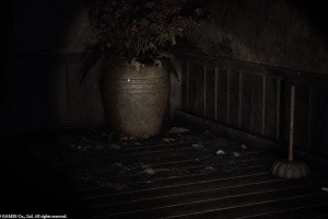 Fatal Frame II: Crimson Butterfly Remake Screenshot